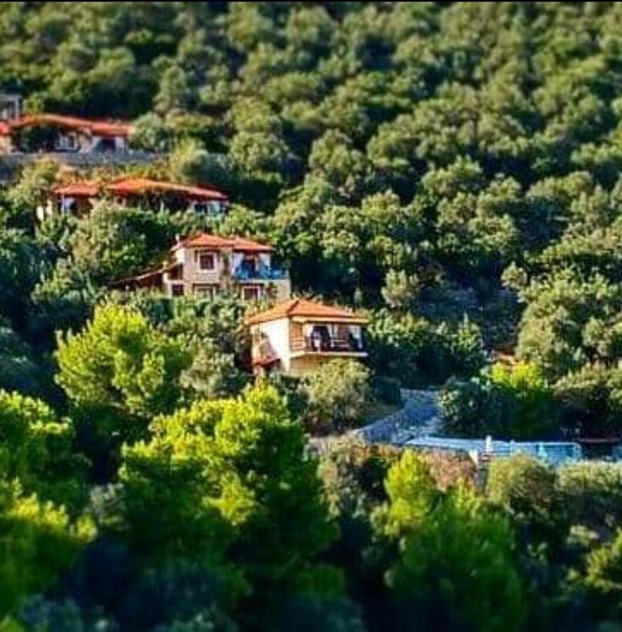 Skiathos Garden Cottages Eksteriør billede